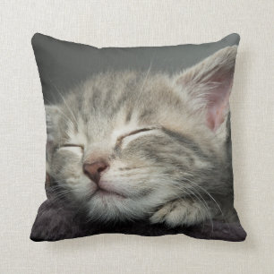 Coussin Chaton somnolent