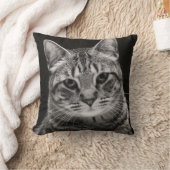 Coussin Chaton tigré noir (Couverture)
