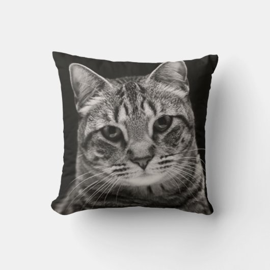 Coussin Chaton tigré noir (Recto)