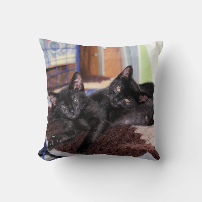 Coussin Chatons (Recto)