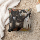 Coussin Chatons de smoking (Couverture)