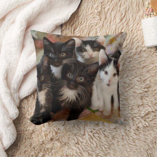Coussin Chatons de smoking (Couverture)