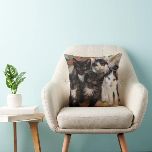 Coussin Chatons de smoking (Chaise)