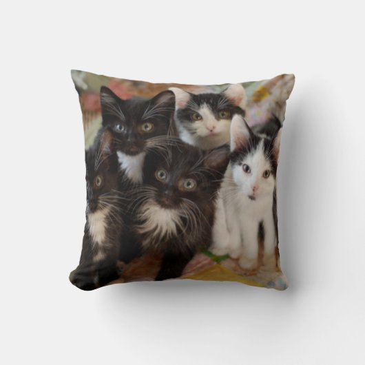 Coussin Chatons de smoking (Recto)