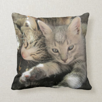 Coussin Chatons mignons de caresse