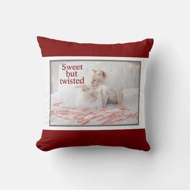 Coussin Chats blancs mignons et Sucres de canne doux mais  (Recto)