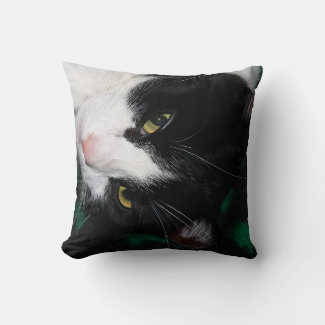 Coussin Chats fabuleux ! (Recto)