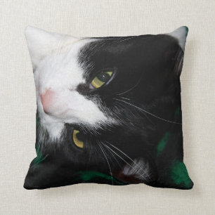 Coussin Chats fabuleux !