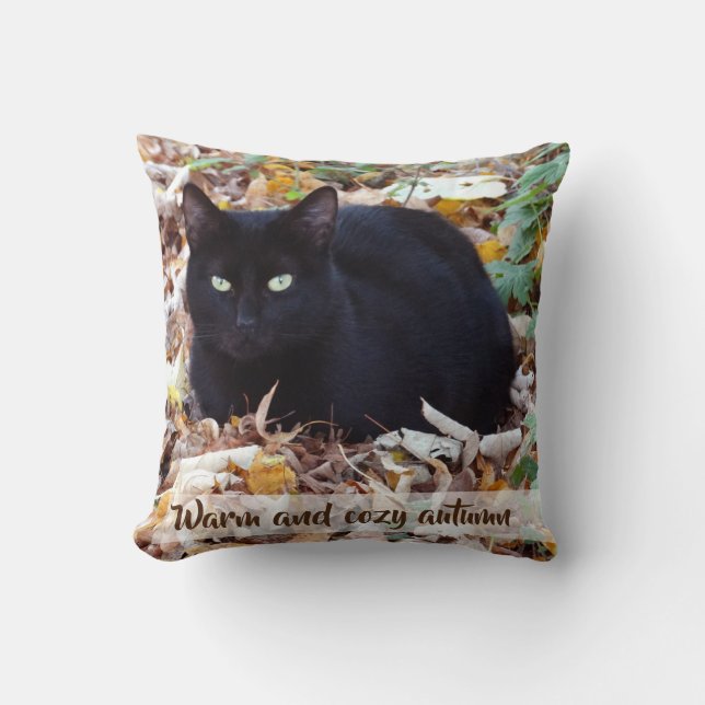 Coussin chaud et confortable 41 x 41 cm de jet (Recto)