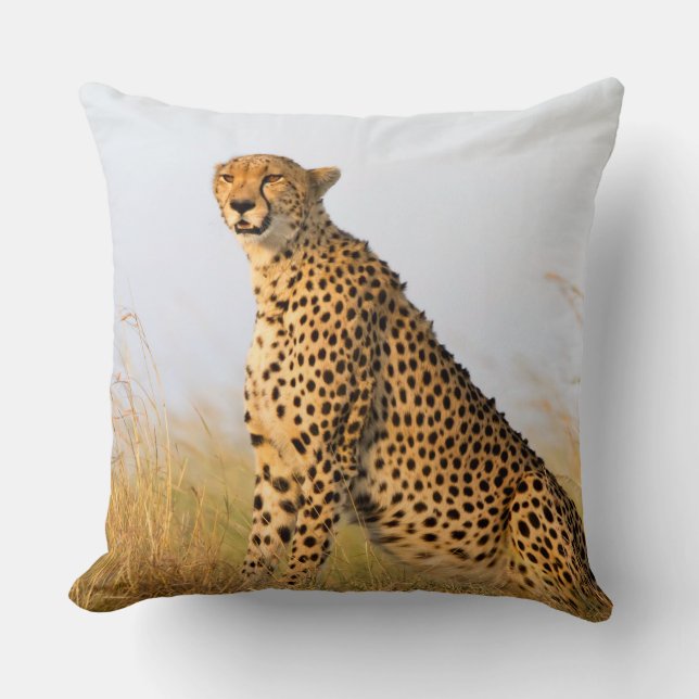 Coussin Cheetah (Recto)