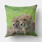 Coussin Cheetah 001 (Verso)