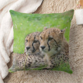 Coussin Cheetah 001 (Couverture)