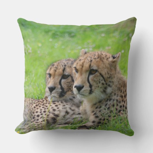 Coussin Cheetah 001 (Recto)