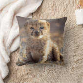 Coussin Cheetah 19 jours bébé mâle (Couverture)