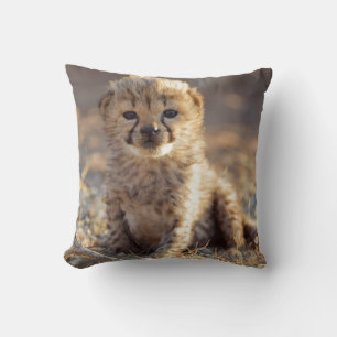 Coussin Cheetah 19 jours bébé mâle