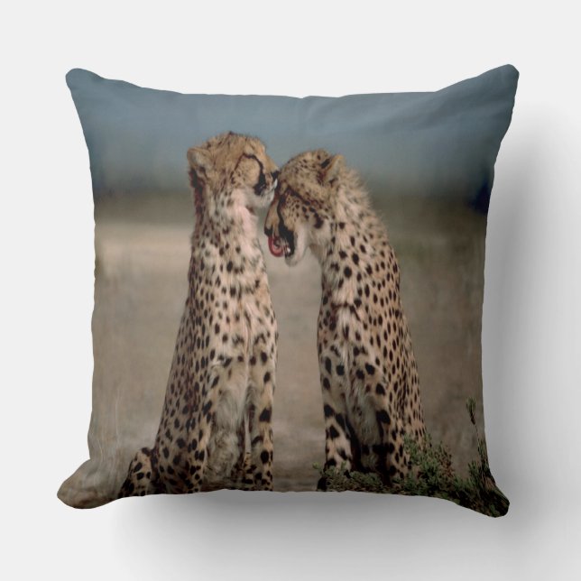 Coussin Cheetah Love (Recto)