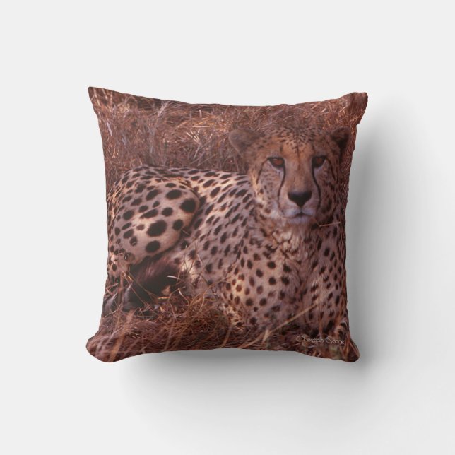 Coussin Cheetah Stare (Recto)
