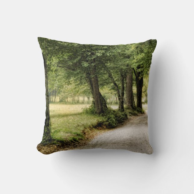 Coussin Chemin dans le pays (Recto)