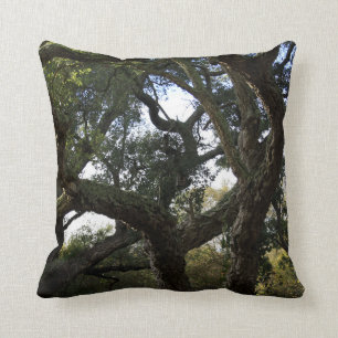 Coussin Chêne -liège ou arbre du liège, arbre élégant
