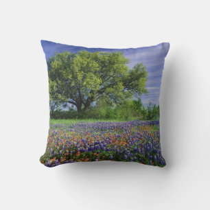 Coussin Chêne vivant & Pinceau de Texas, et Texas