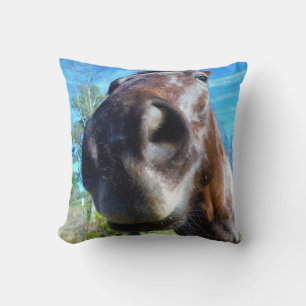 Coussin Cheval brun visage drôle ciel bleu sarcelle