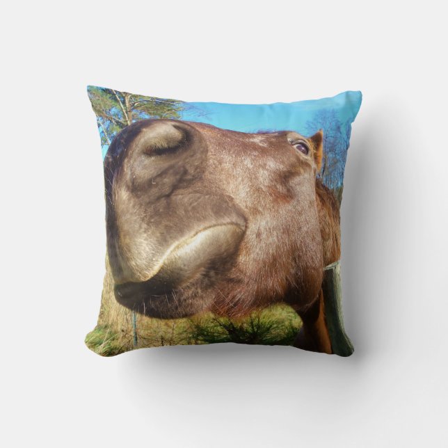 Coussin Cheval brun visage drôle ciel bleu sarcelle (Recto)