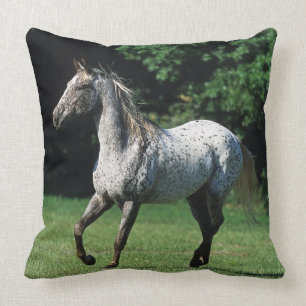 Coussin Cheval d'Appaloosa courant 2