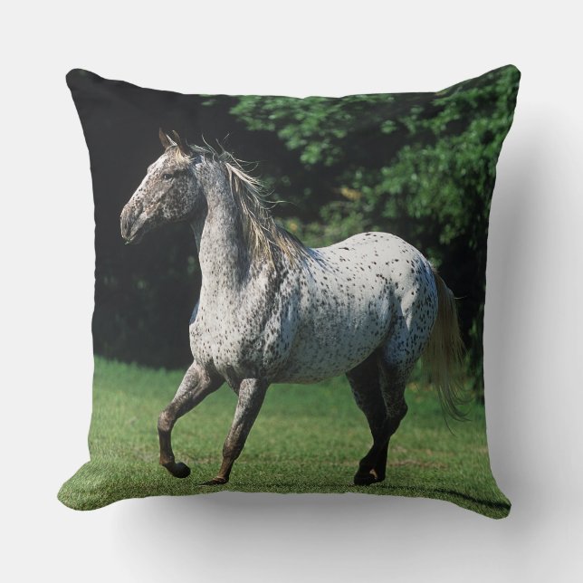 Coussin Cheval d'Appaloosa courant 2 (Recto)