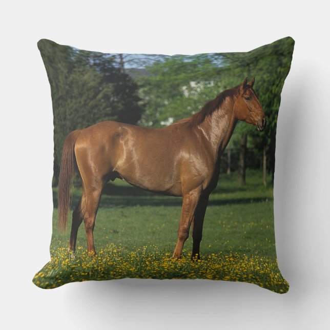 Coussin Cheval de pur sang en fleurs (Recto)