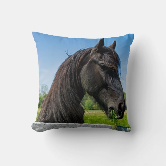 Coussin cheval friésien noir (Recto)