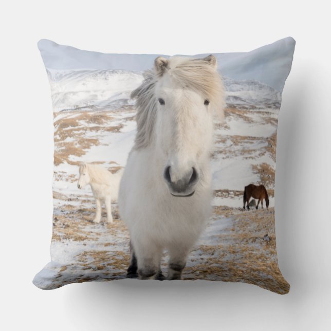 Coussin Cheval islandais blanc, Islande (Recto)
