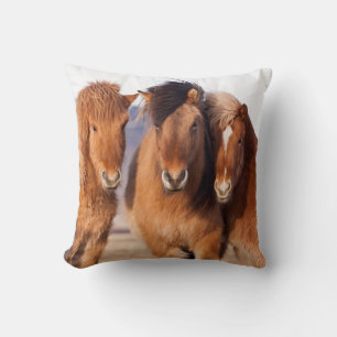 Coussin Cheval islandais en hiver