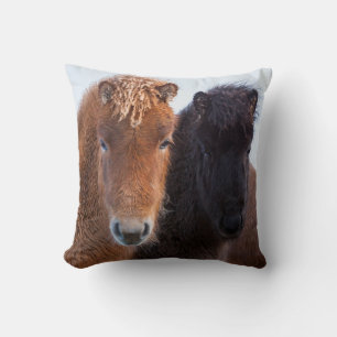Coussin Cheval islandais en hiver en Islande