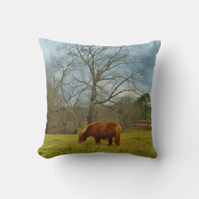 Coussin Cheval miniature brun, ciel bleu nuageux (Recto)