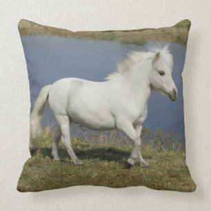 Coussin Cheval miniature fonctionnant près de l'eau