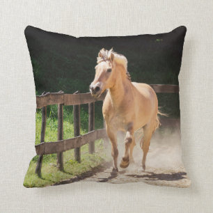 Coussin Cheval norvégien du fjord - Finn