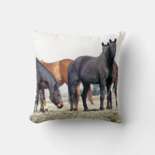 COUSSIN CHEVAUX