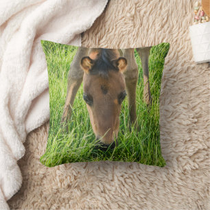 Coussin Chevaux Bébés Poneys Mignons Coton Vert