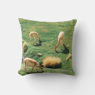 COUSSIN CHEVAUX BLANCS ET BROWN SUR LE CHAMP EN GRAS VERT