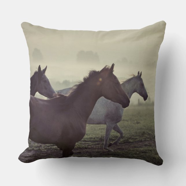 Coussin Chevaux sauvages (Recto)