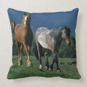 Coussin Chevaux sauvages de mustang