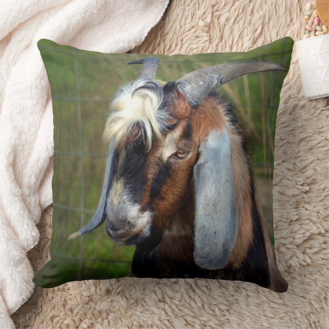 Coussin Chèvre. (Couverture)