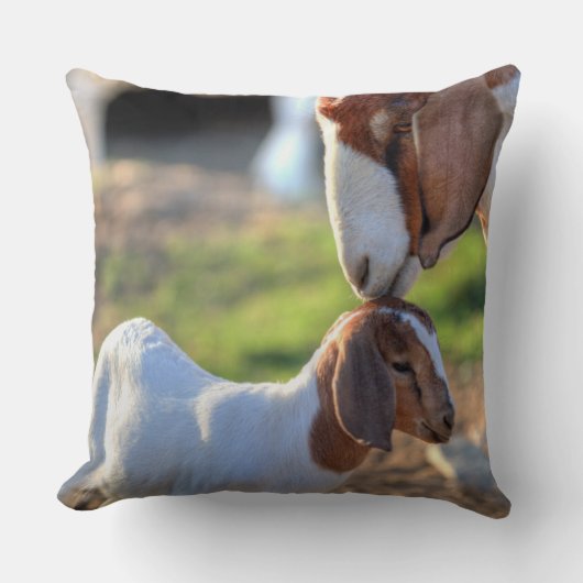 Coussin Chèvre et bébé de mère (Recto)