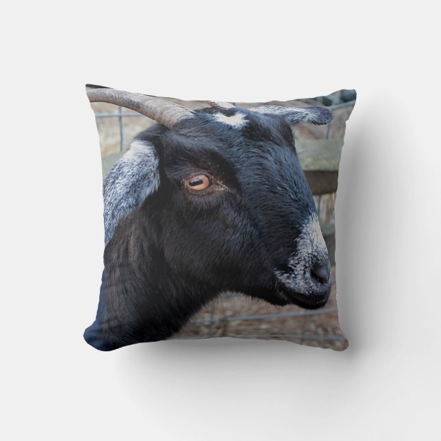 Coussin Chèvre noire (Recto)