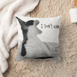 Coussin Chewy sez... Je ne veux pas.