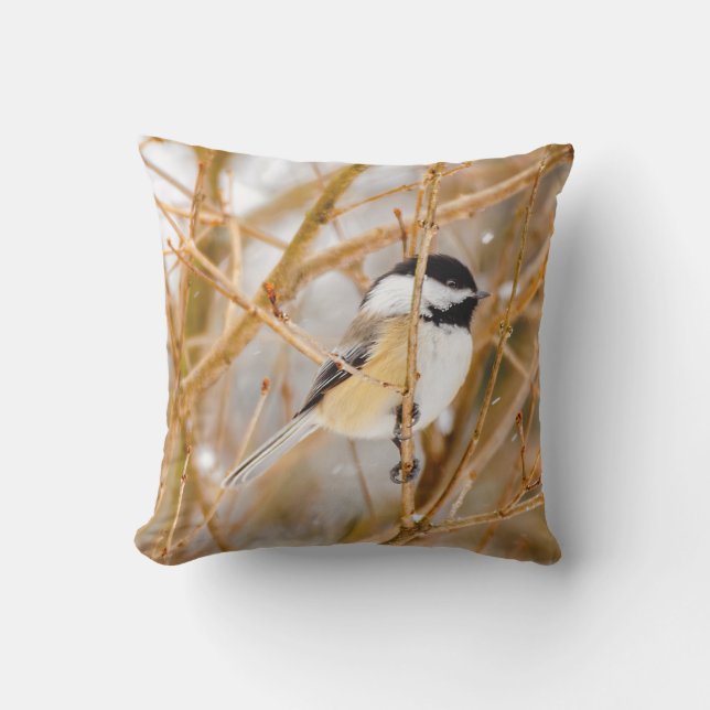 Coussin Chickadee au plafond noir - Photo originale (Recto)