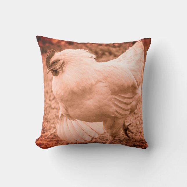Coussin Chicken Funky Hen Hy Line Silver Brown (Recto)