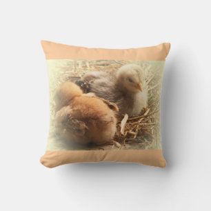 Coussin chickens chicks with feather