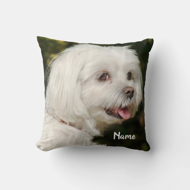 Coussin Chien chiot maltais blanc personnalisé (Recto)