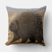 Coussin Chien contre Porc-Épic (Recto)